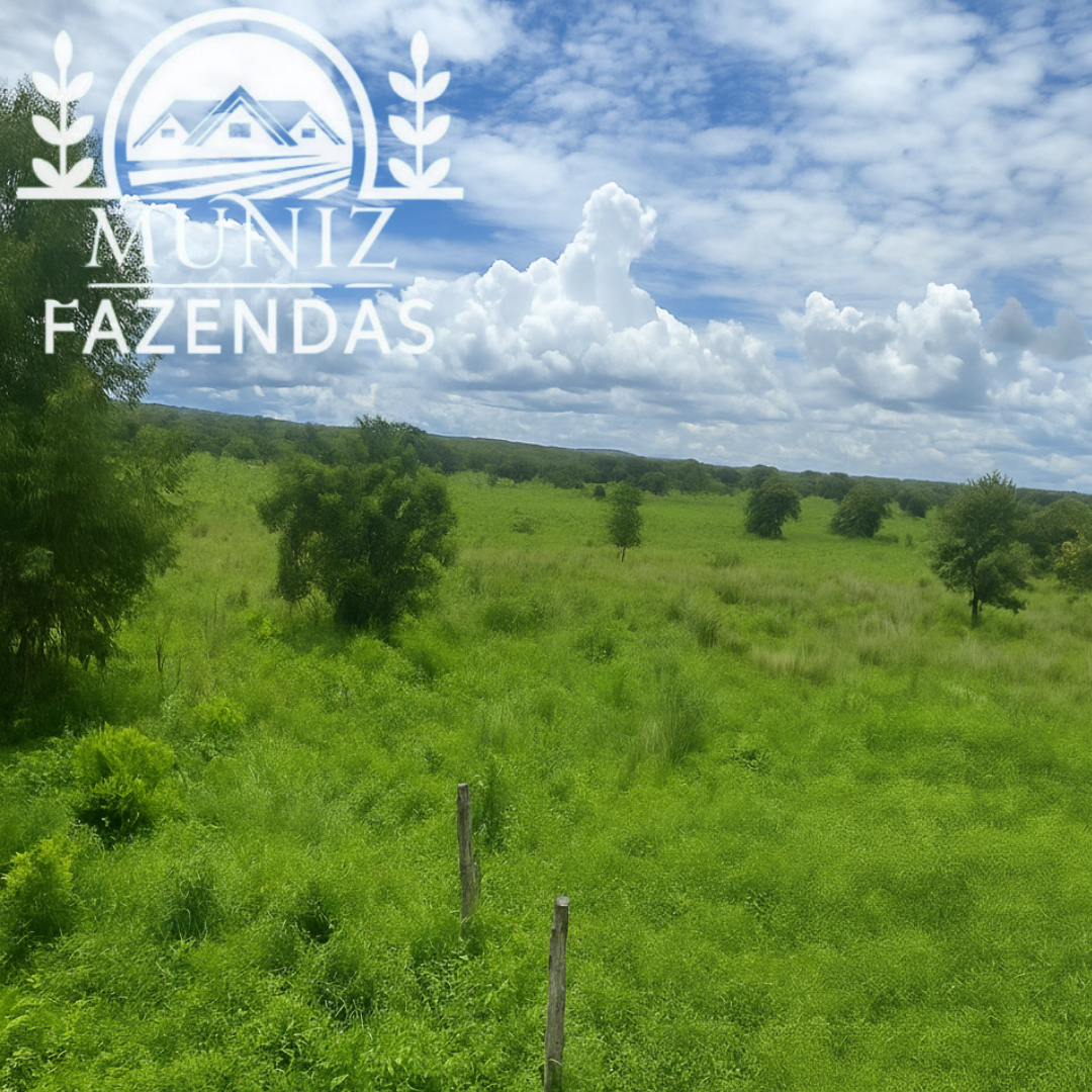 Propriedade em Buritizeiro