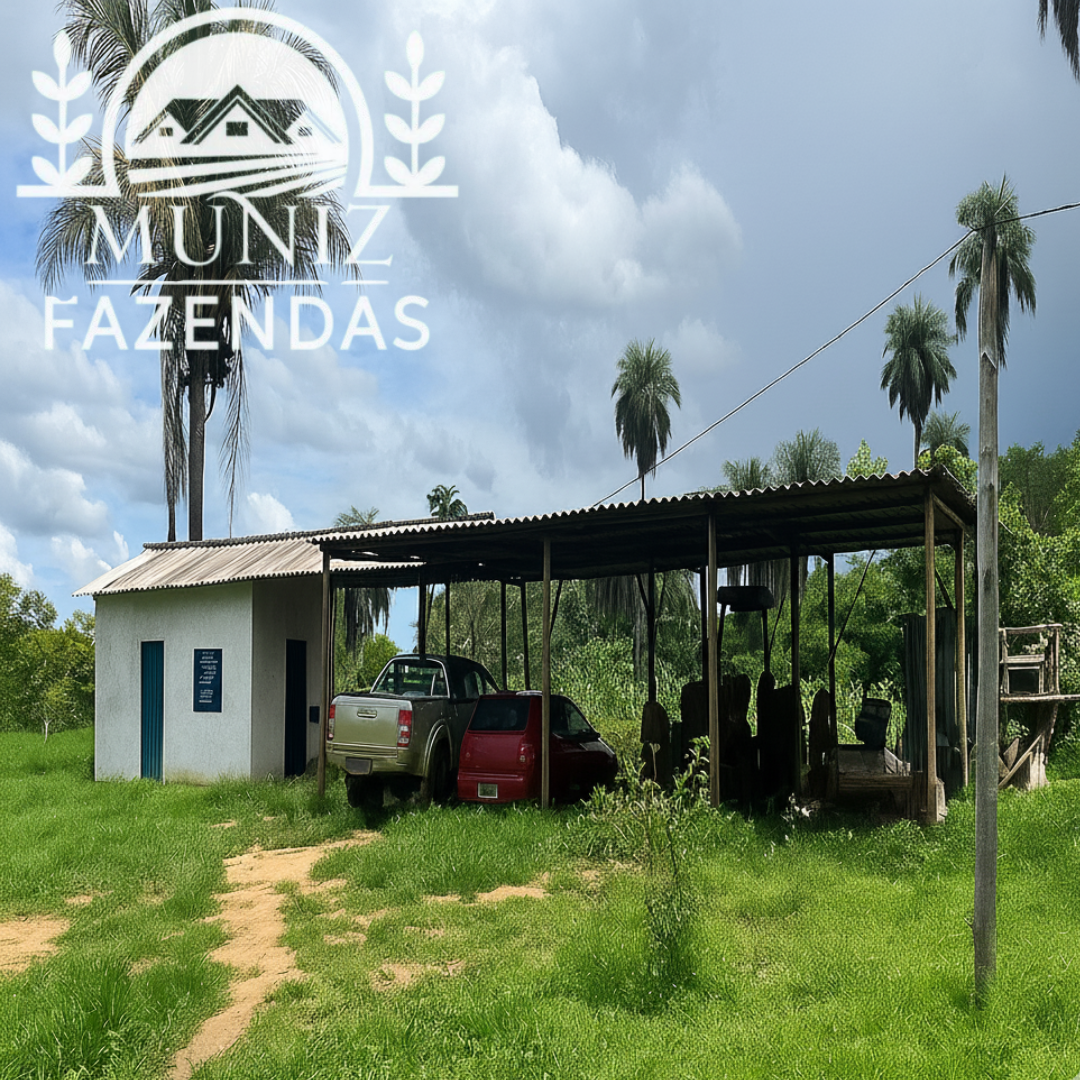 Propriedade em Buritizeiro - 2