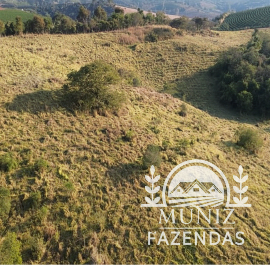 Propriedade em Nepomuceno