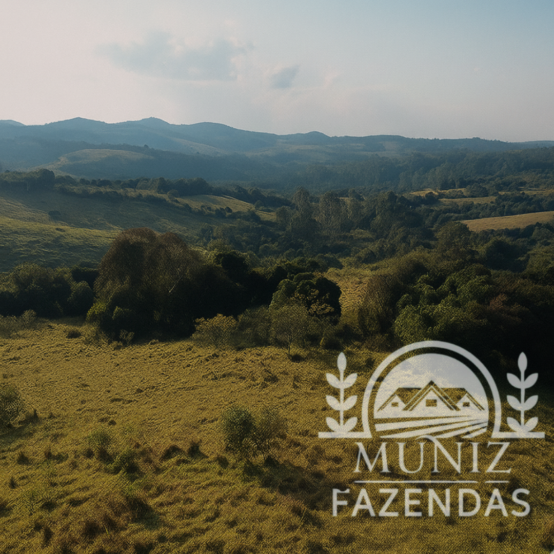 Propriedade em Nepomuceno - 2