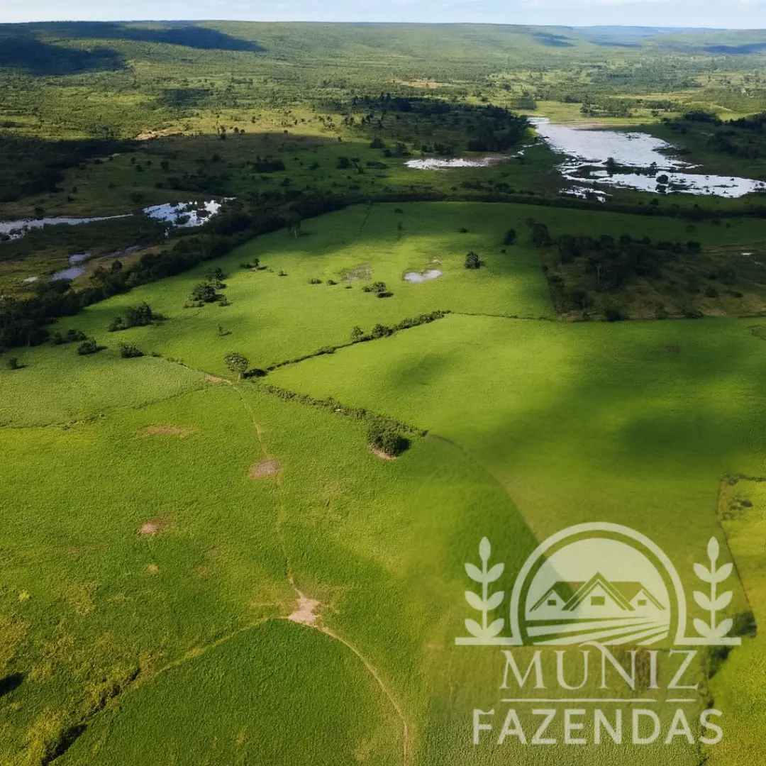 Fazenda em Ibiaí - 3