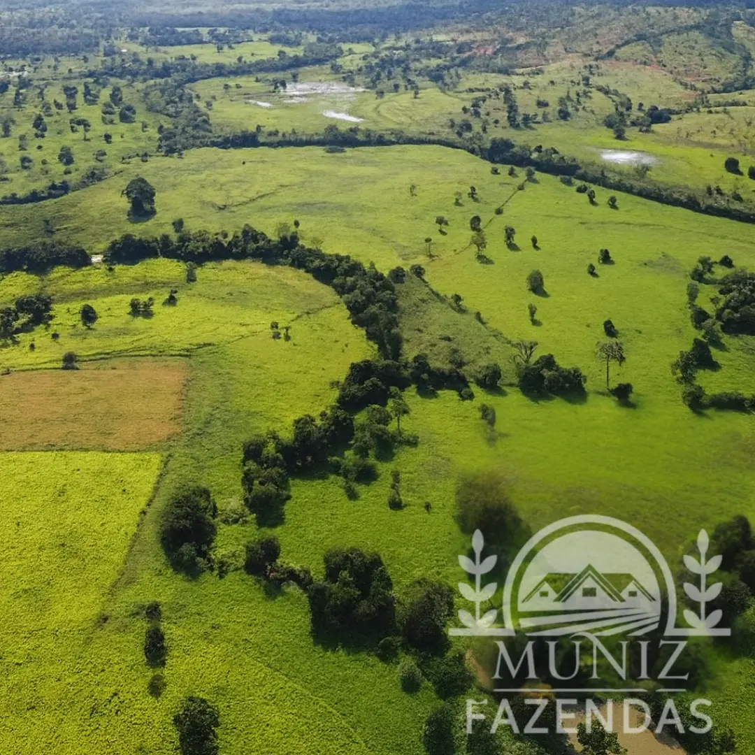 Fazenda em Ibiaí - 4