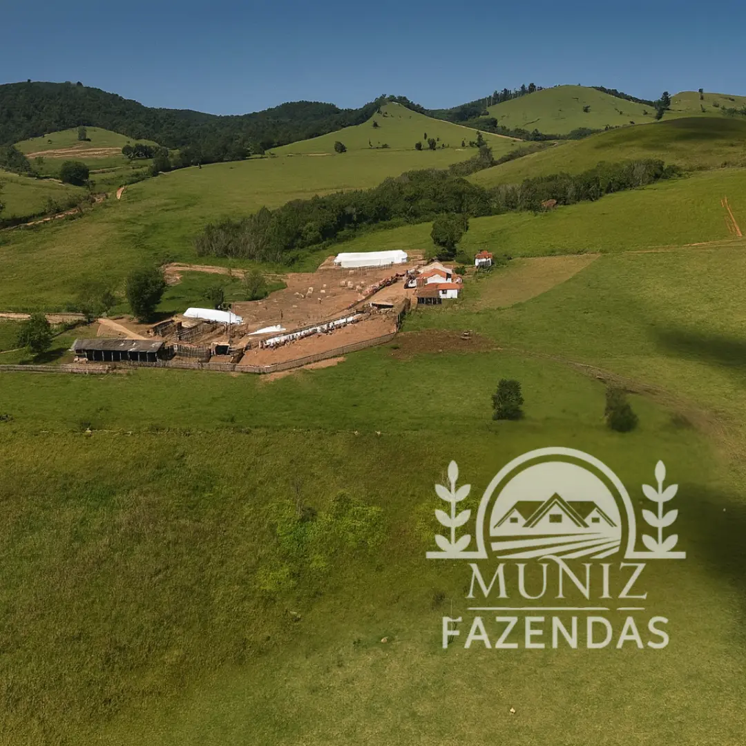Fazenda em Minas Gerais — Muniz Fazendas