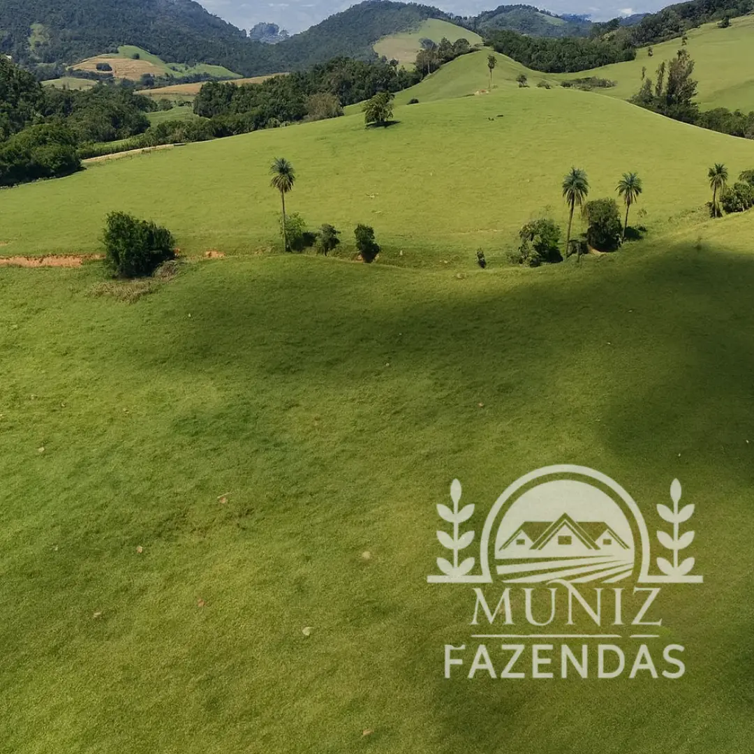 Fazenda em Borda da Mata - 2