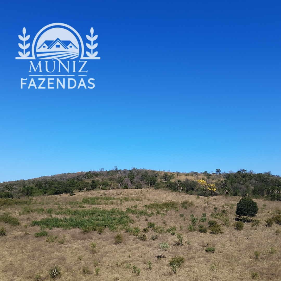 Área para Condomínio em Esmeraldas - 2